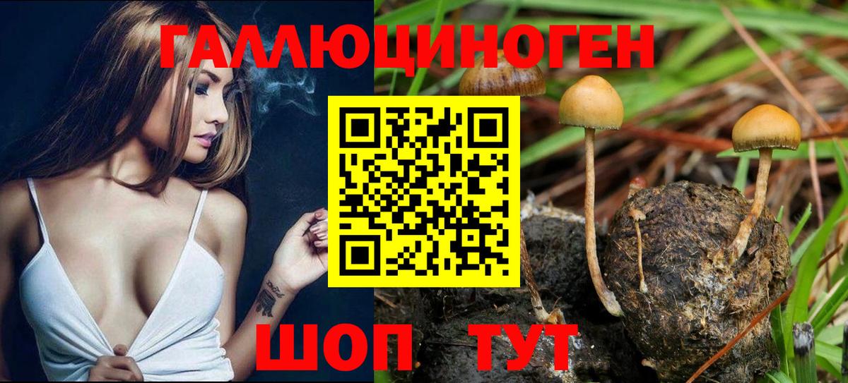 Псилоцибиновые грибы прущие грибы Ликино-Дулёво