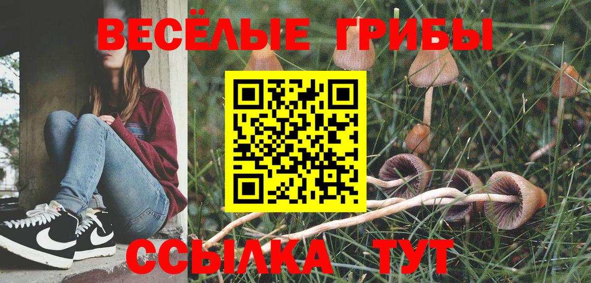 Псилоцибиновые грибы Magic Shrooms  Вход с VPN  Ликино-Дулёво 